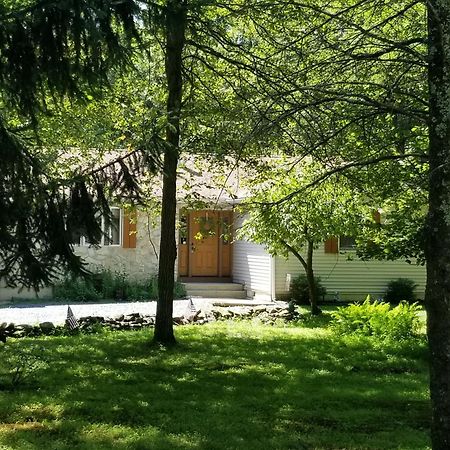 Serenity And Fun All In One In This Cozy Pocono Cabin Jim Thorpe Exteriör bild